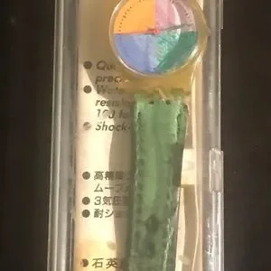 Swatch | Accessories | Vintage Swatch Four Seasons 99s Band 